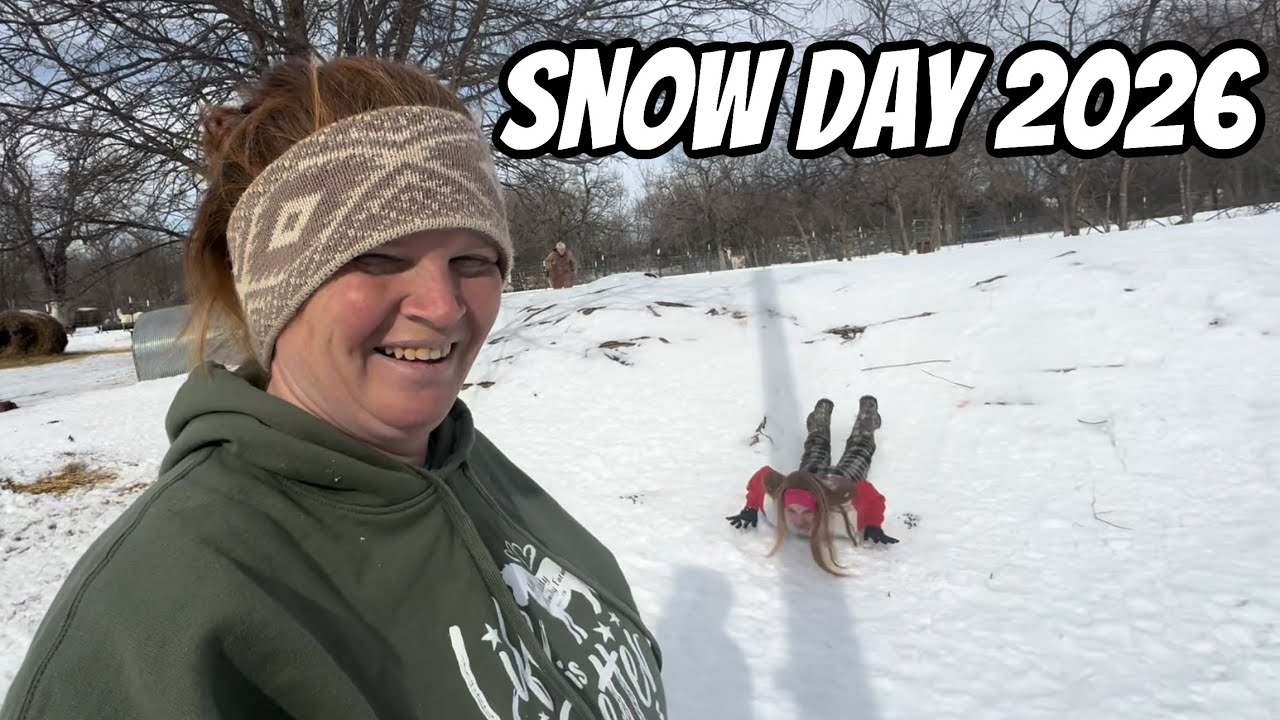 Feeding These Animals After The Snow Storm