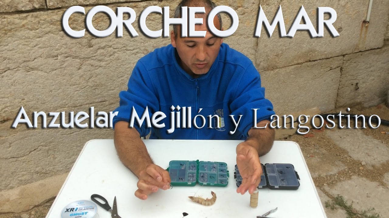 Cebos para pescar Doradas. Como Anzuelar o encarnar mejillón y langostino. Muy UTIL
