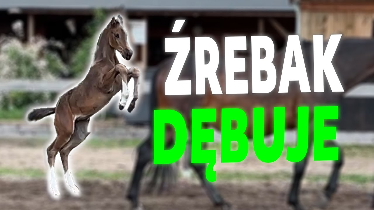 PIERWSZY BUNT PRIMY | WYMARZONY KANTAR DILI | unboxing paczek