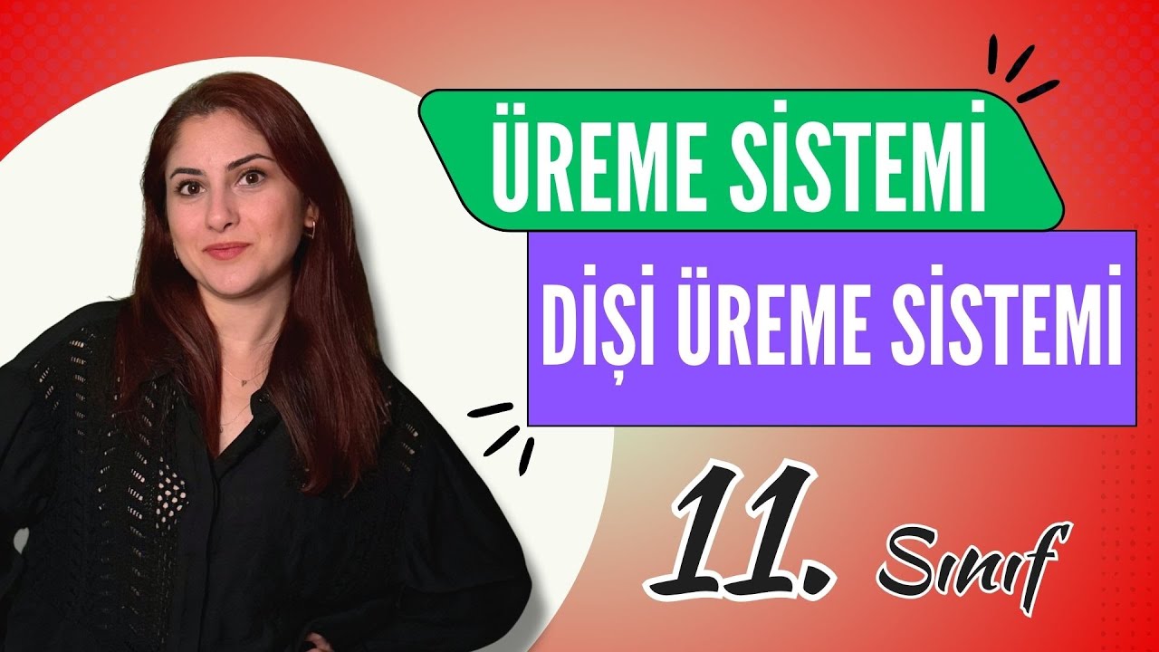 29) DİŞİ ÜREME SİSTEMİ 1 | 11. SINIF | AYT BİYOLOJİ DERS NOTLARI 2024