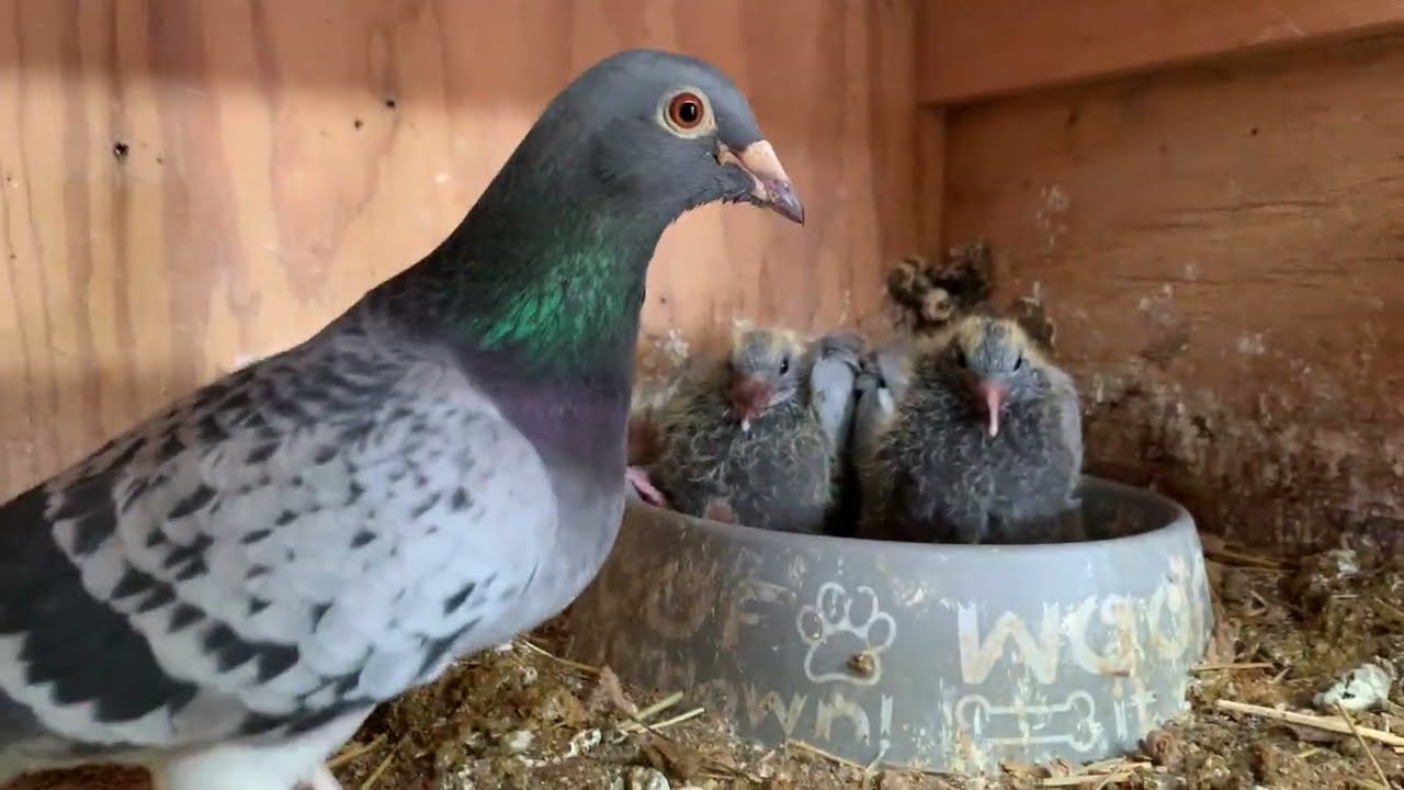 HUEX911LOFT 2026 Мы вернулись!