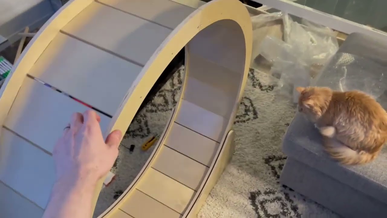 Cat Treadmill Latest Installation Video 猫跑步机最新安装视频
