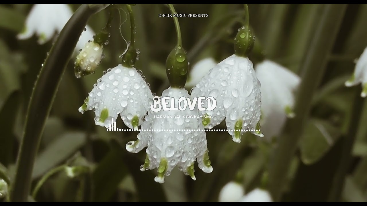 Beloved ( Visual ) Harman Bal | Big Kay Smg | Farmaan Smg | Latest Punjabi Songs 2023