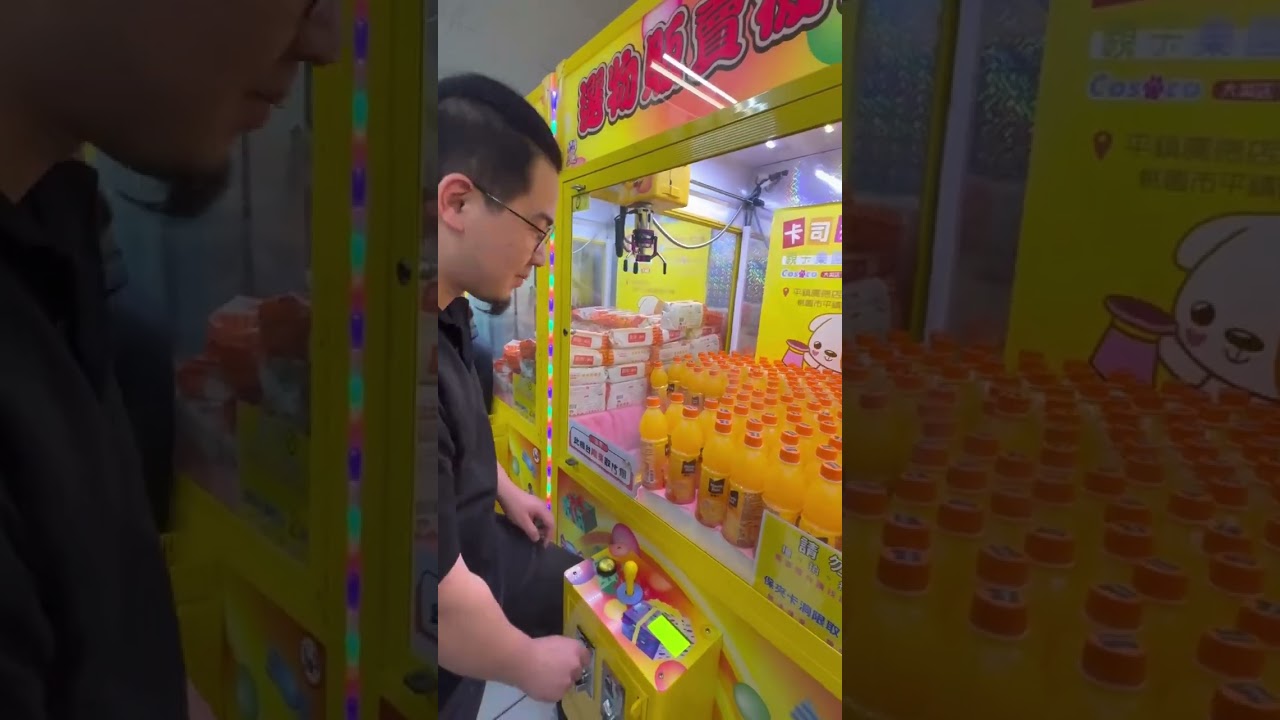 挑戰賽小白豬