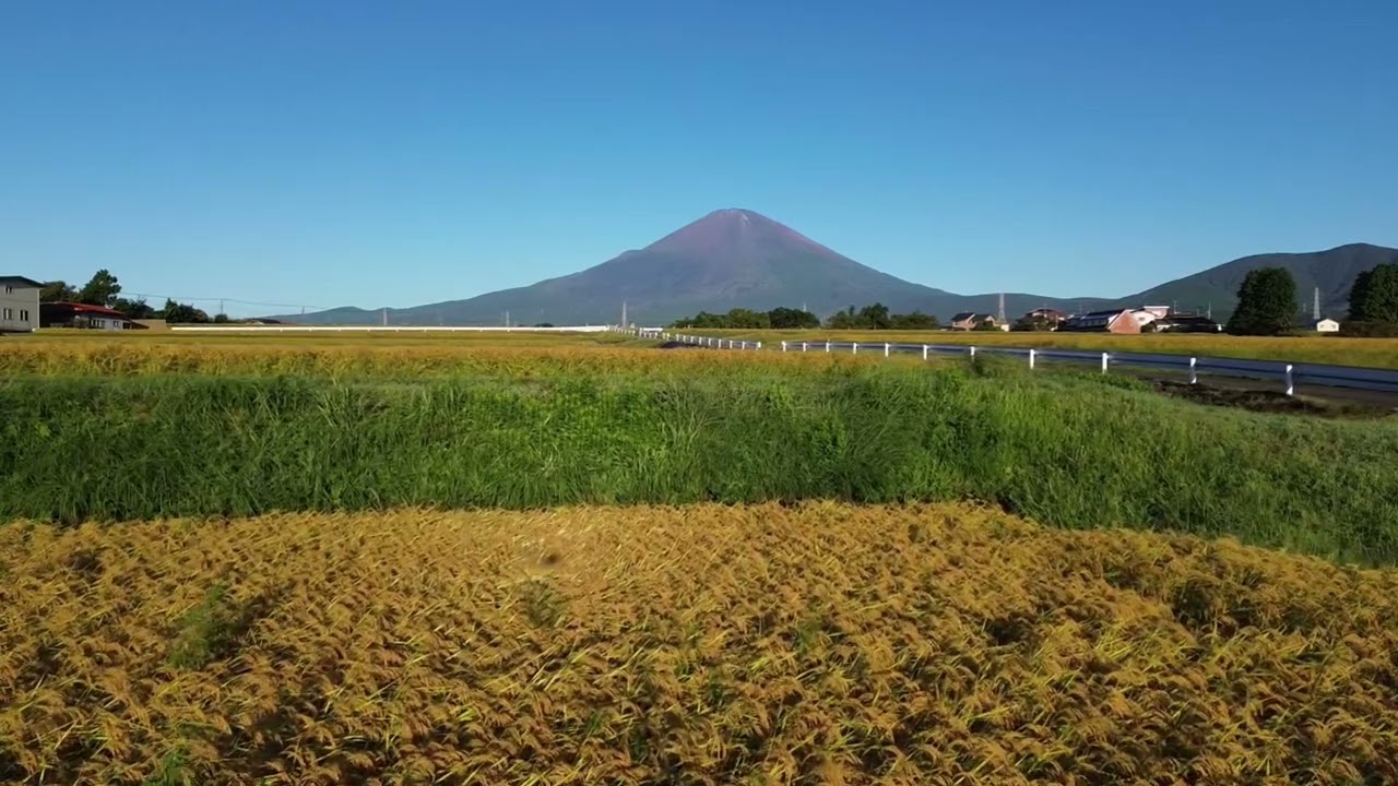 金時山の麓に雲海