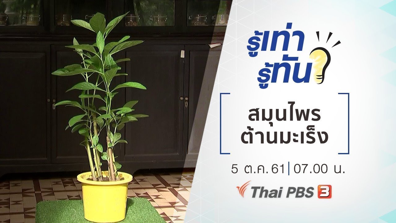 รู้เท่ารู้ทัน : สมุนไพร ต้านมะเร็ง (7 ต.ค. 61)