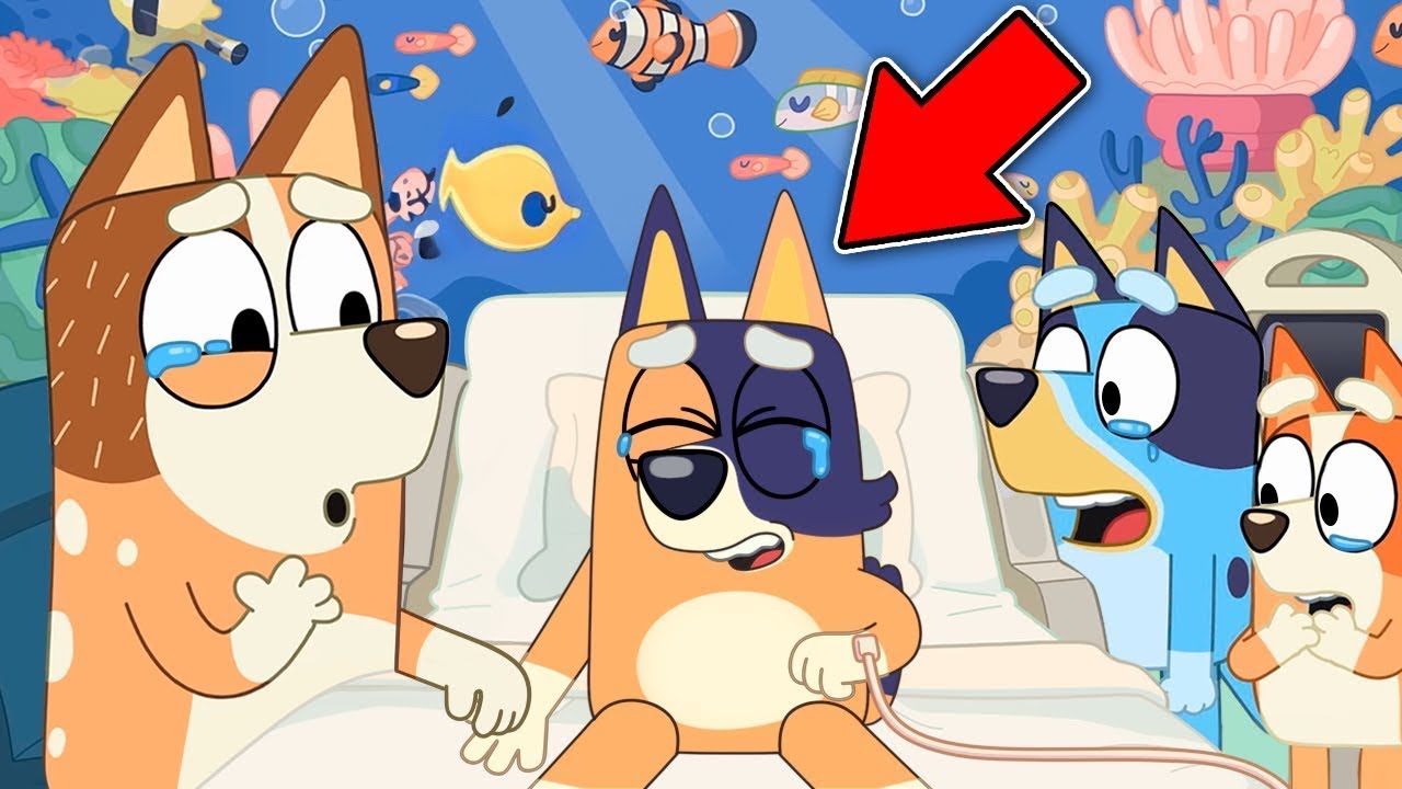 Hogyan halt meg Bluey idősebb testv&eacute;re? Bluey Elm&eacute;letek 1. R&eacute;sz