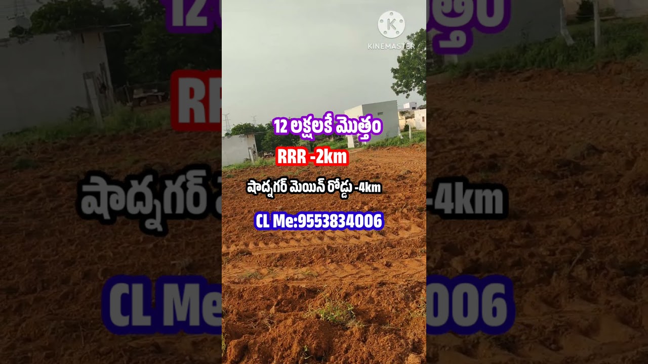 12 lacs Total Price, RRR -2km only,Near by Shadnagar Main road.#realestate #low #regional