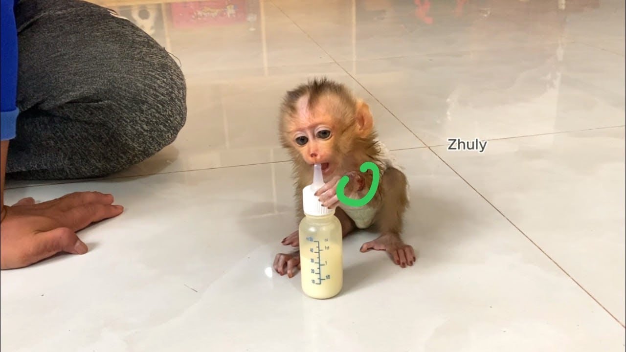 Skinny & We-knesss Zhuly Tryinq Milk With Small Bottle By Herself