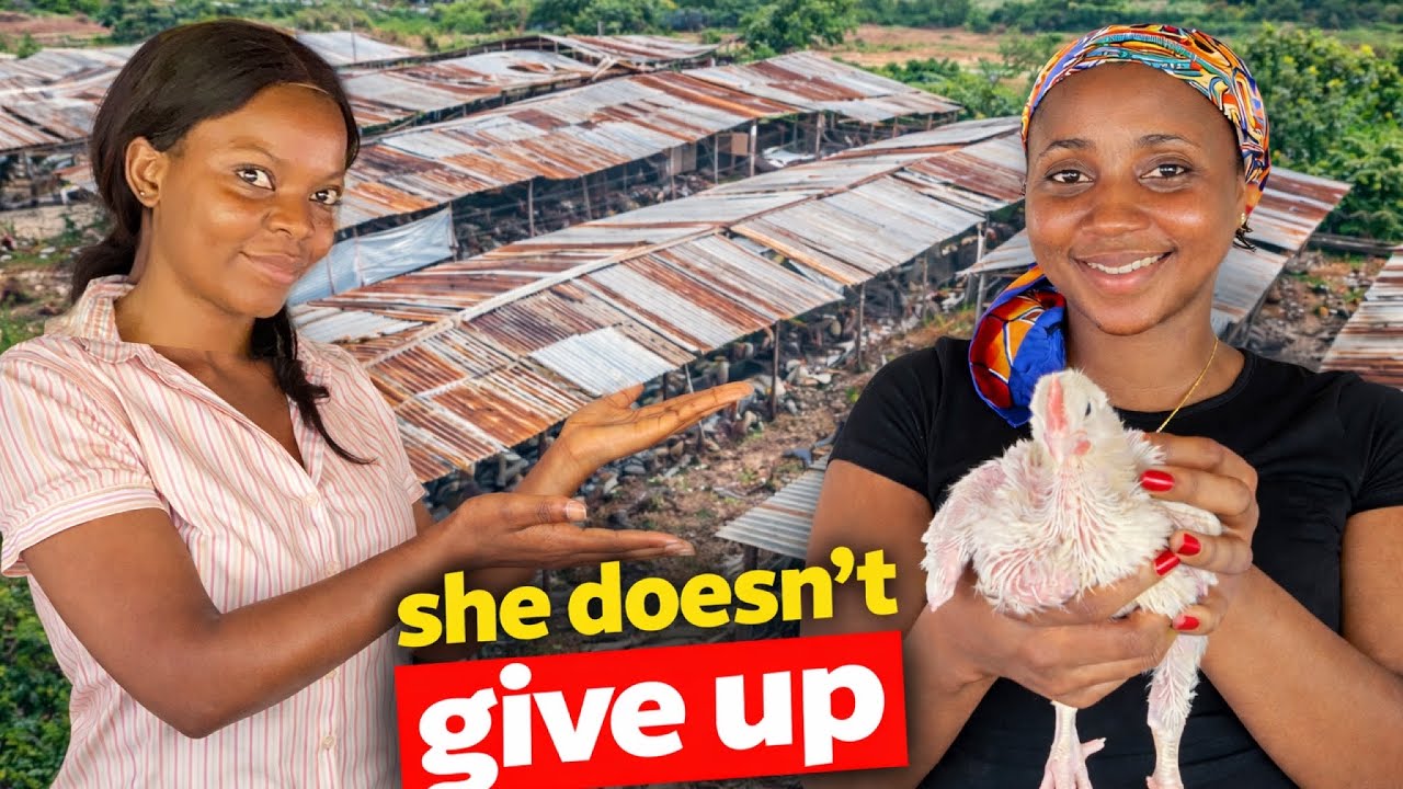 She Built A Profitable Poultry Farm From 50 Chickens