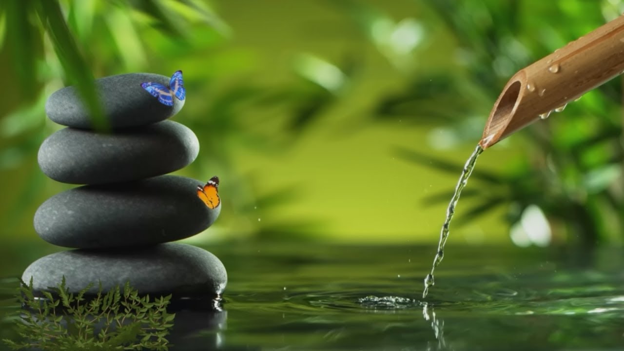 Sons Relaxants d'Eau et Chant d'Oiseaux - Musique Apaisante pour Détente, Sommeil et Méditation