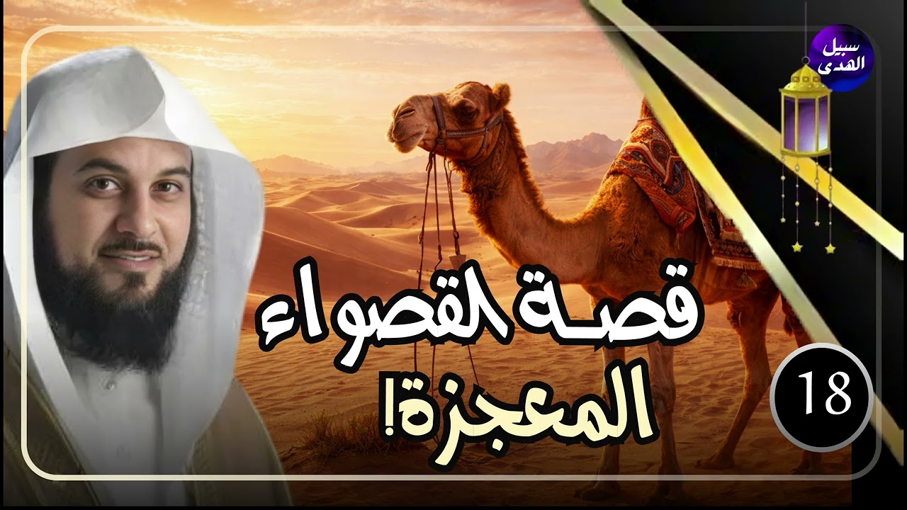 هل تعرفون ما الناقة القصواء؟ قصة القصواء 🐪 ناقة النبي ﷺ|الشيخ محمد العريفي