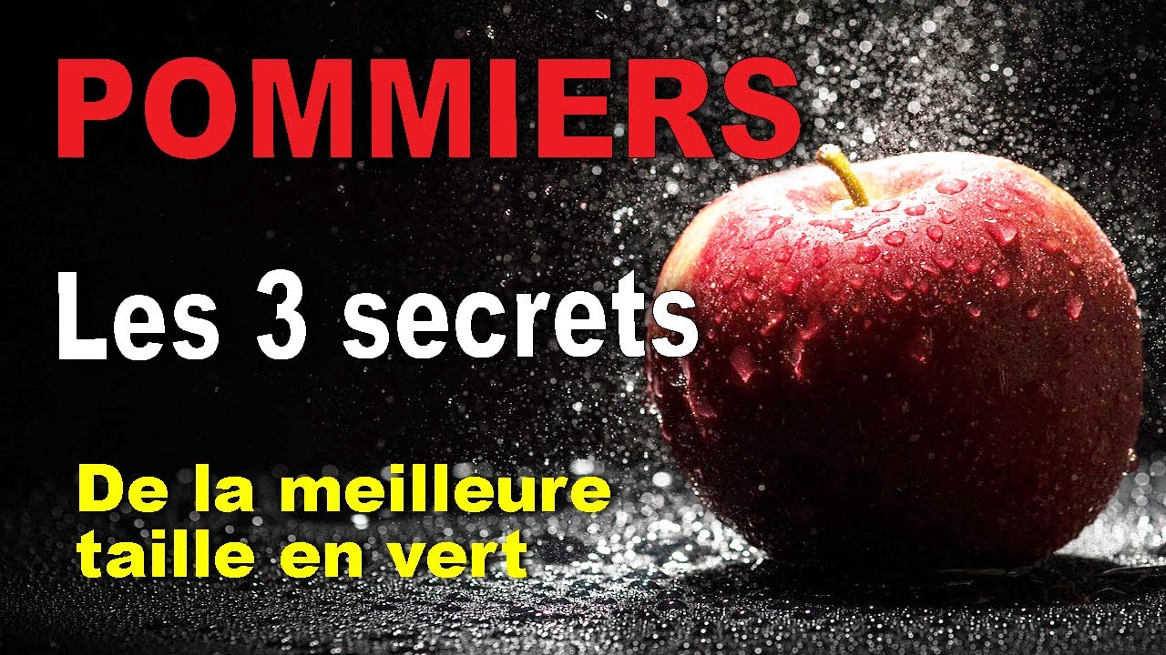 Les secrets de la meilleure taille en vert pour couvrir vos pommiers de fruits