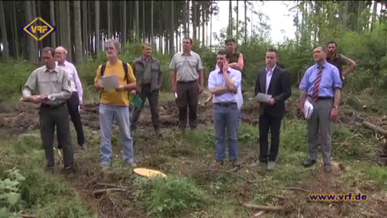 20/15 Plauener Wald vor Inventur