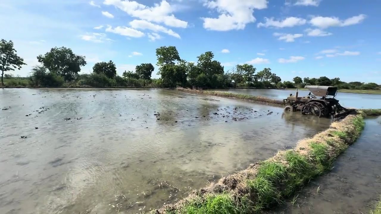 KHARIF 2025 | LAND PREPARED FOR VARI NATULU | వరినాట్లు | PADDY CULTIVATION  | PRR | FARM LAND |