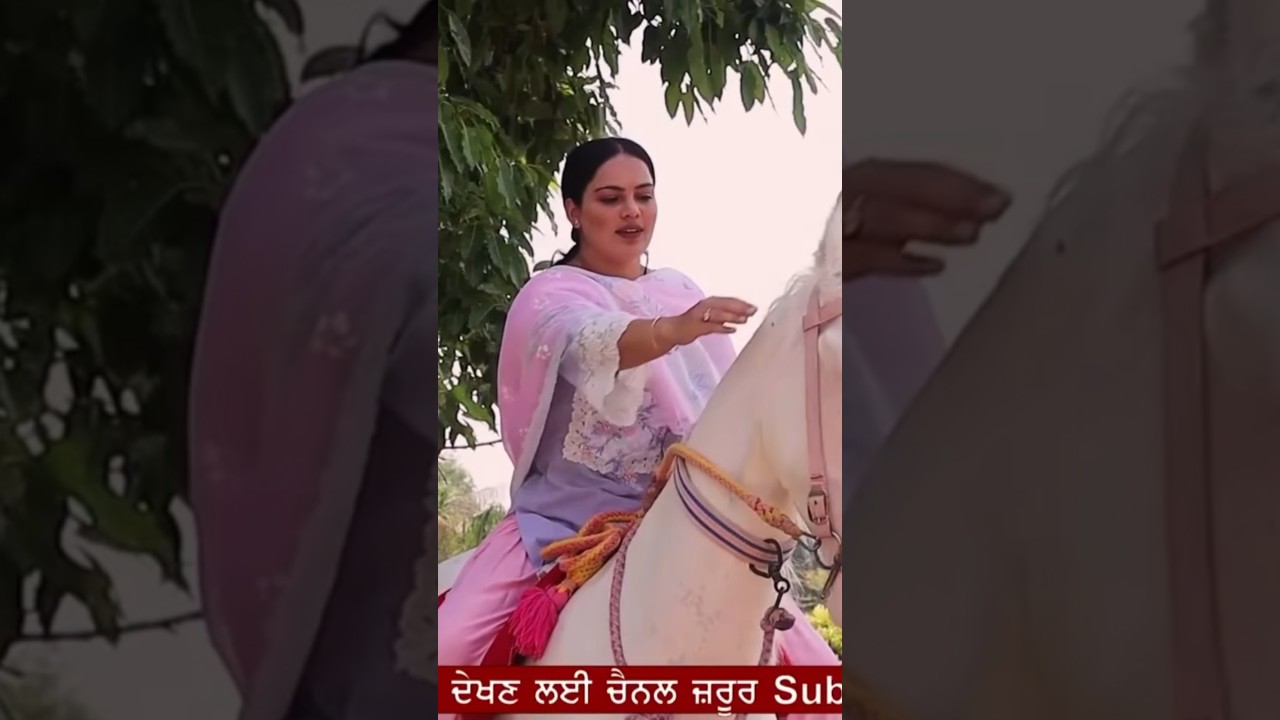 Rupinder Kaur with her law's family interview #youtubeshorts #punjab #baghapurana