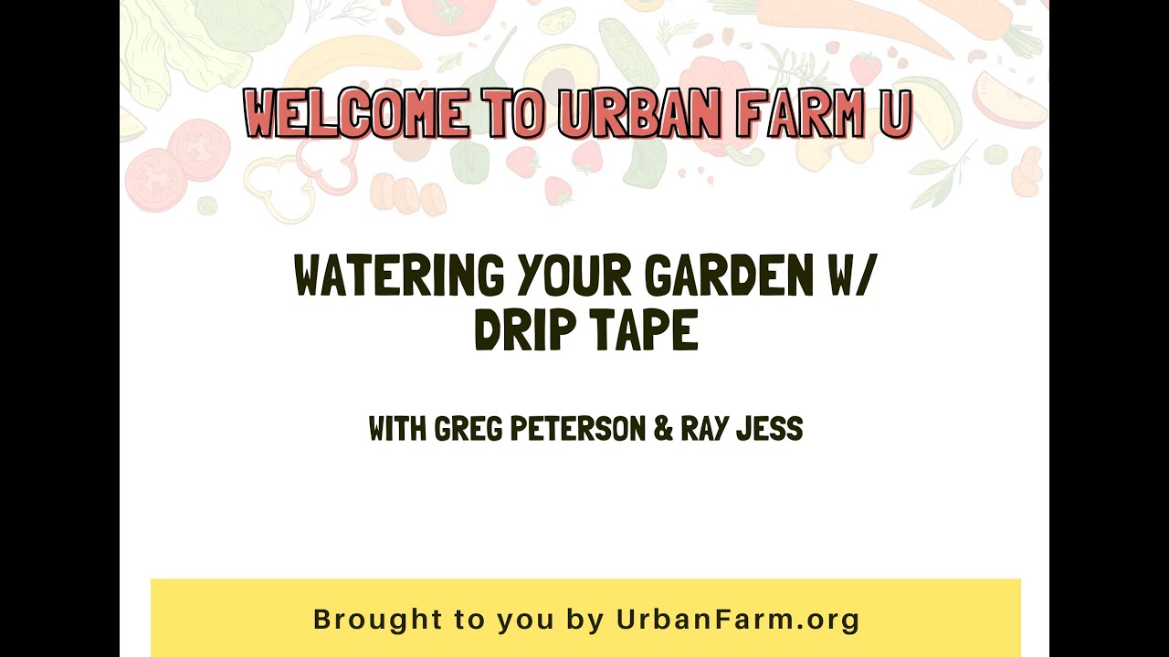 Drip Tape Irrigation Class w Greg Peterson & Ray Jess from the Urban Farm