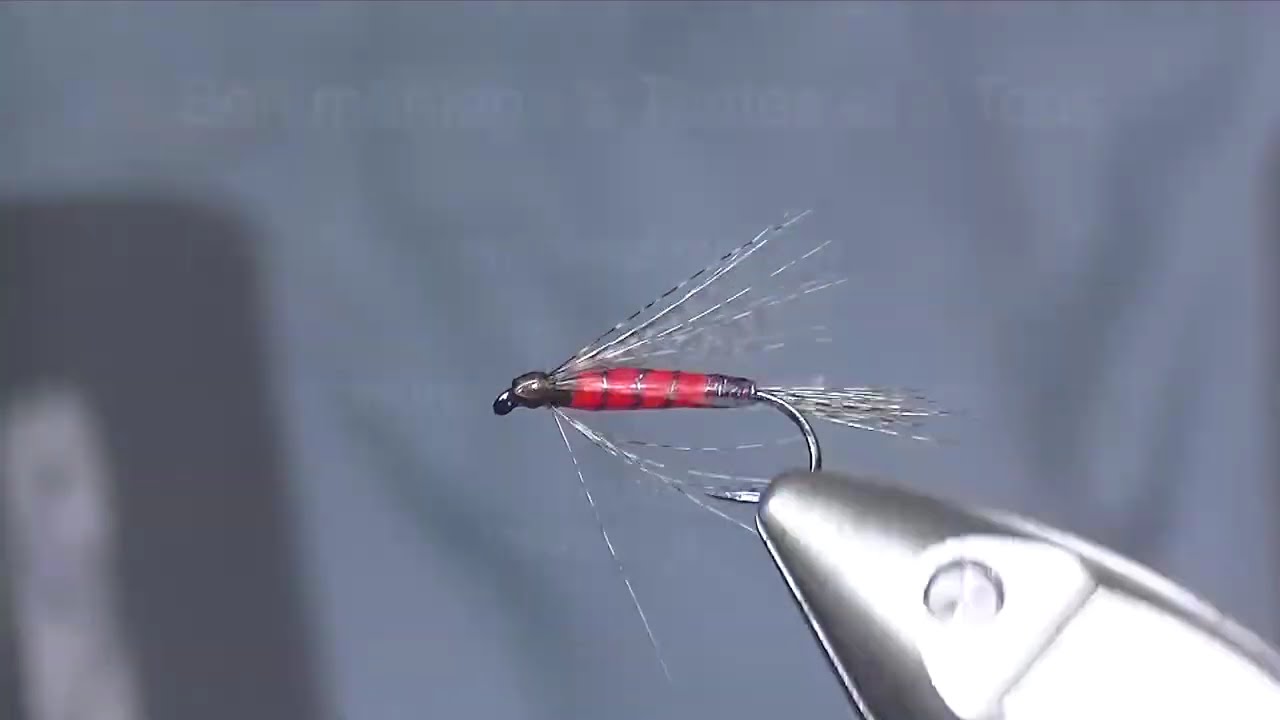 fly drowned red ( mouche noy&eacute;e rouge )