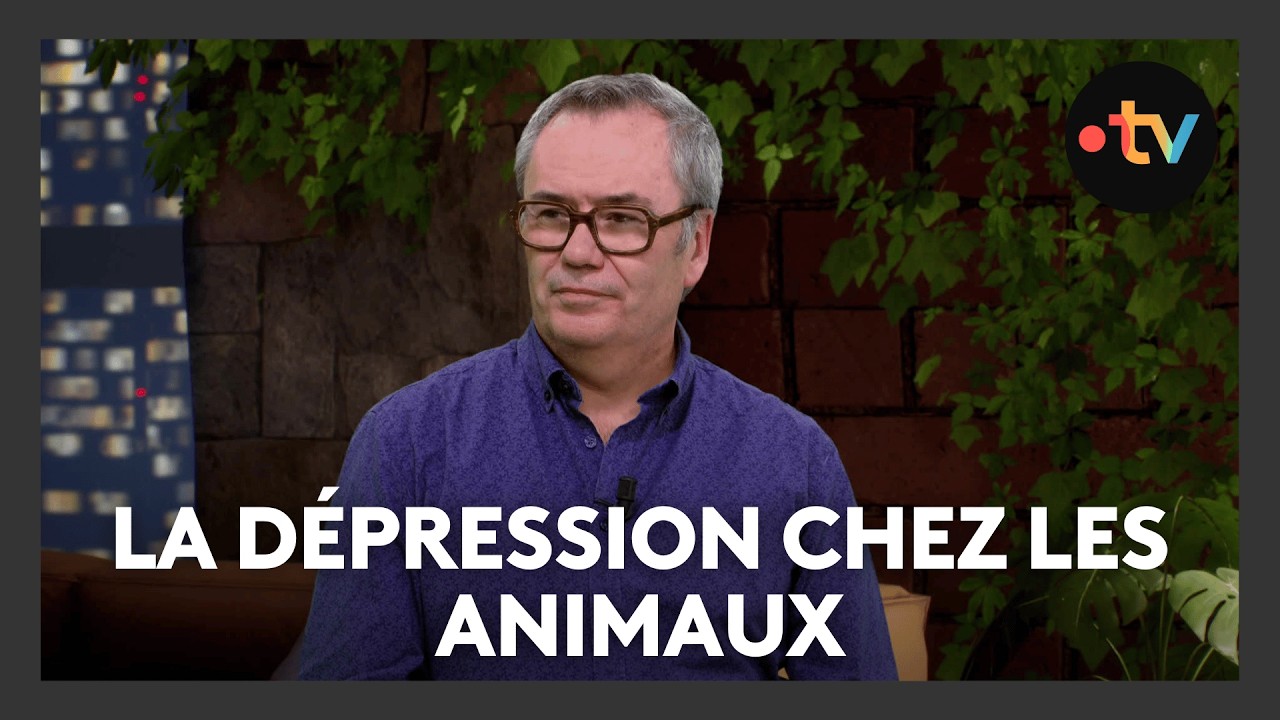 7 minutes avec Yannick Pérennes, vétérinaire