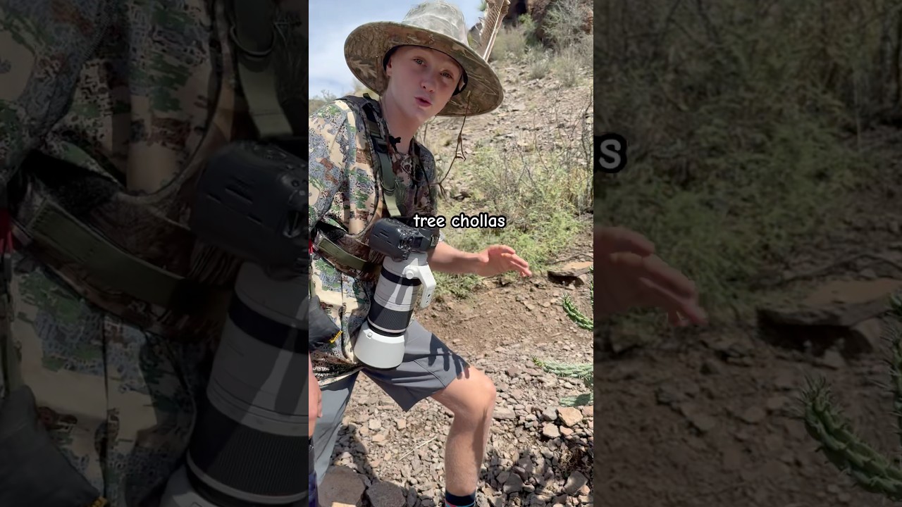 A Cactus That DEMANDS Respect! #cactus#plants#desert#adventure#shorts#nature#amazing#outdoors