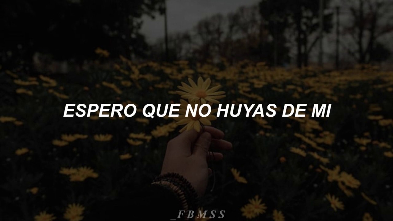 If I Could Fly•One Direction [Español]