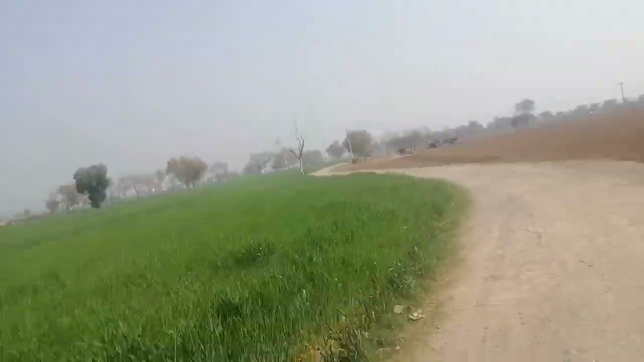 Life line
