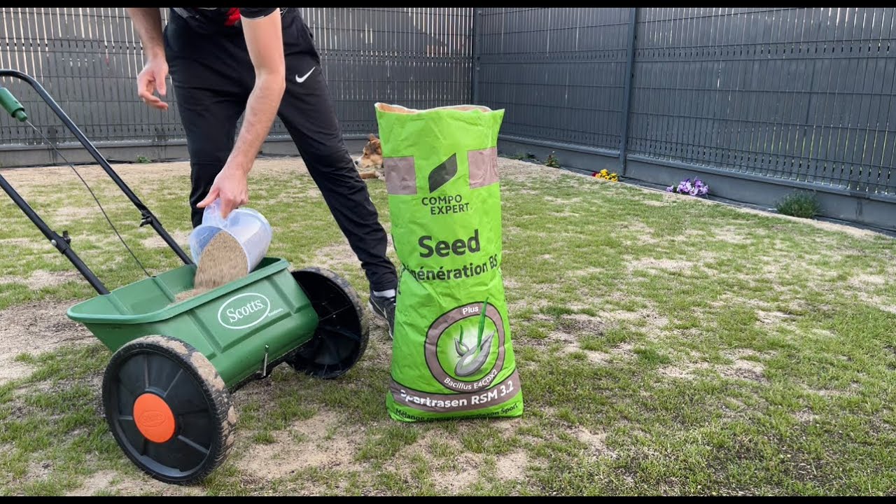Обновление газона Часть 4 из 4 - Посев семян