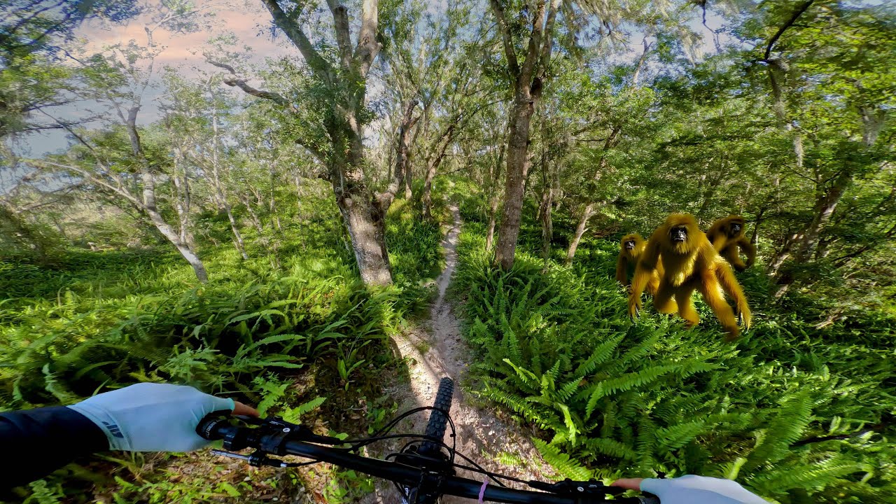 Who else gets lost at Balm?