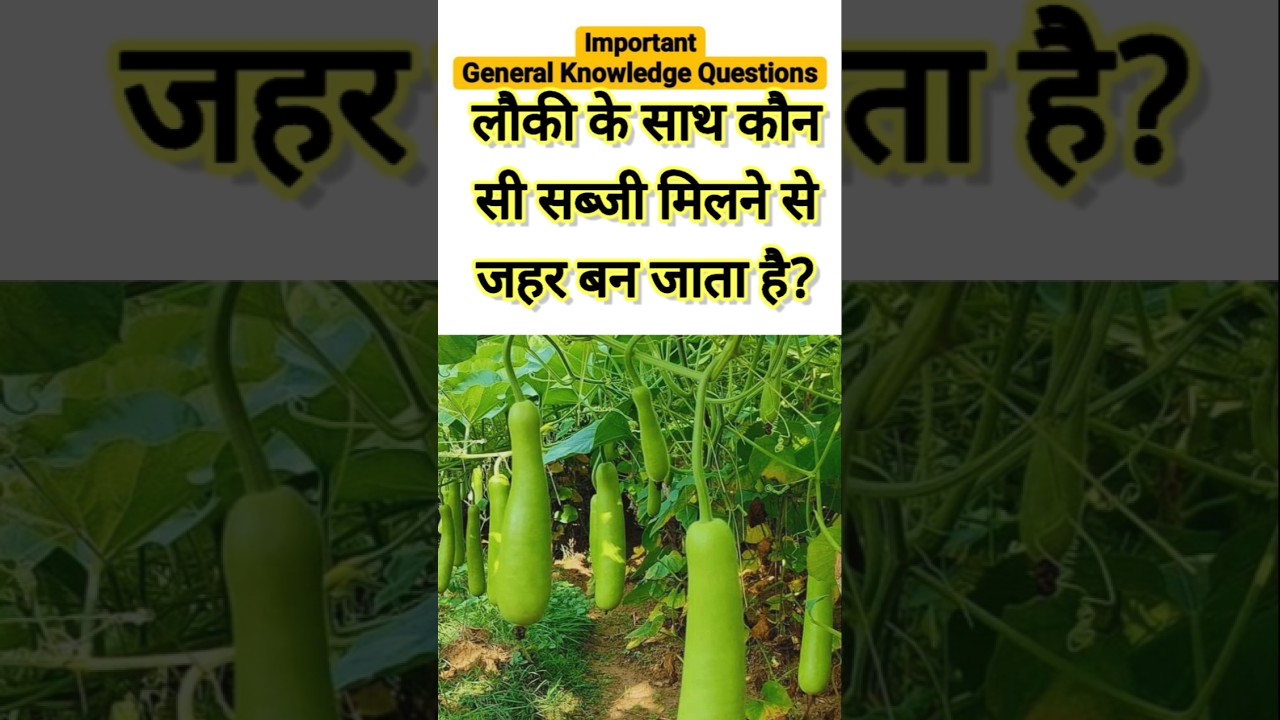 Top 50 ✍️ IAS Question🔥💯🥰 || GK Question and Answer|Part-716| #facts #gkfacts #gkinhindi #staticgk