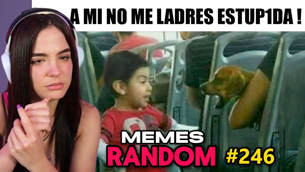 MEMES de COLECCION ∣ Staryuuki REACCIONA a MEMES RANDOM #246