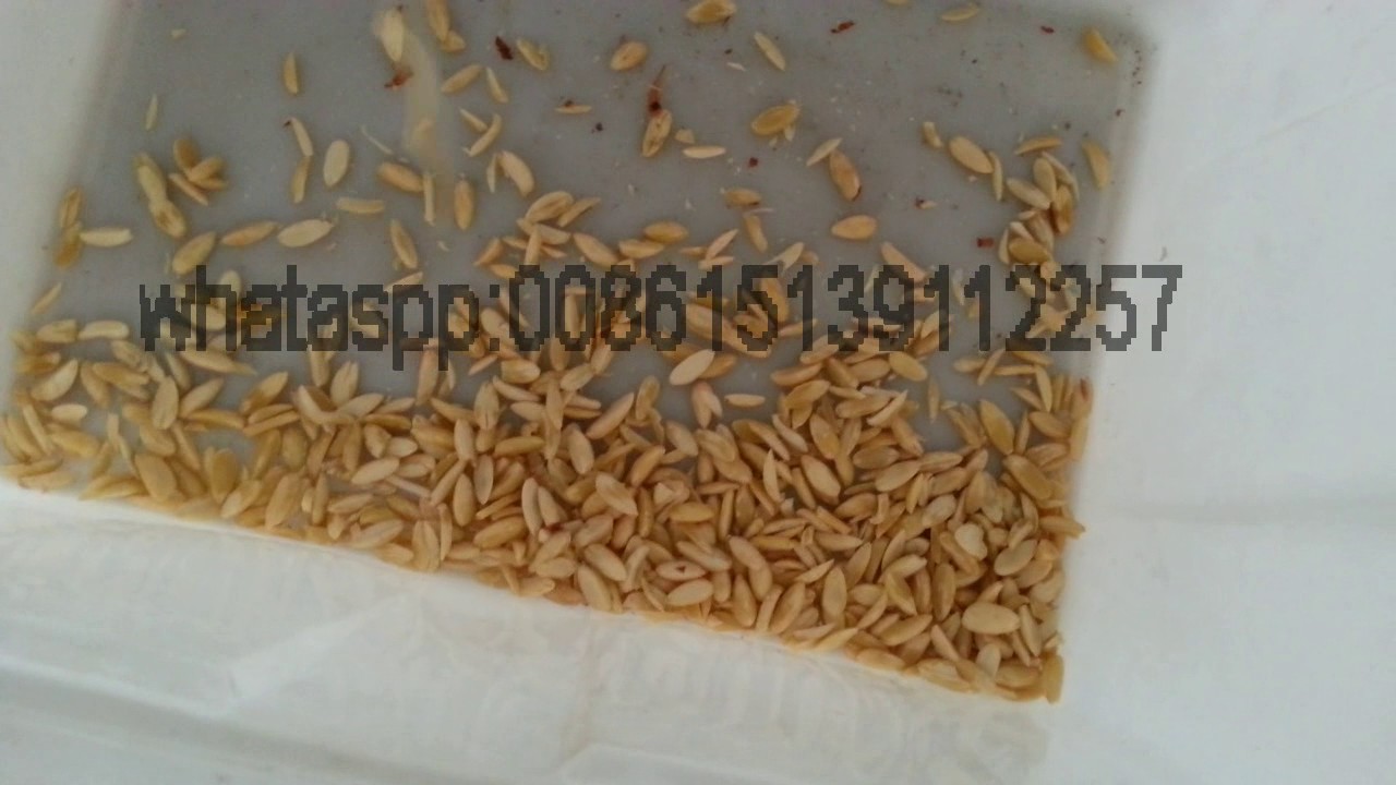 peanut strip cutting machine