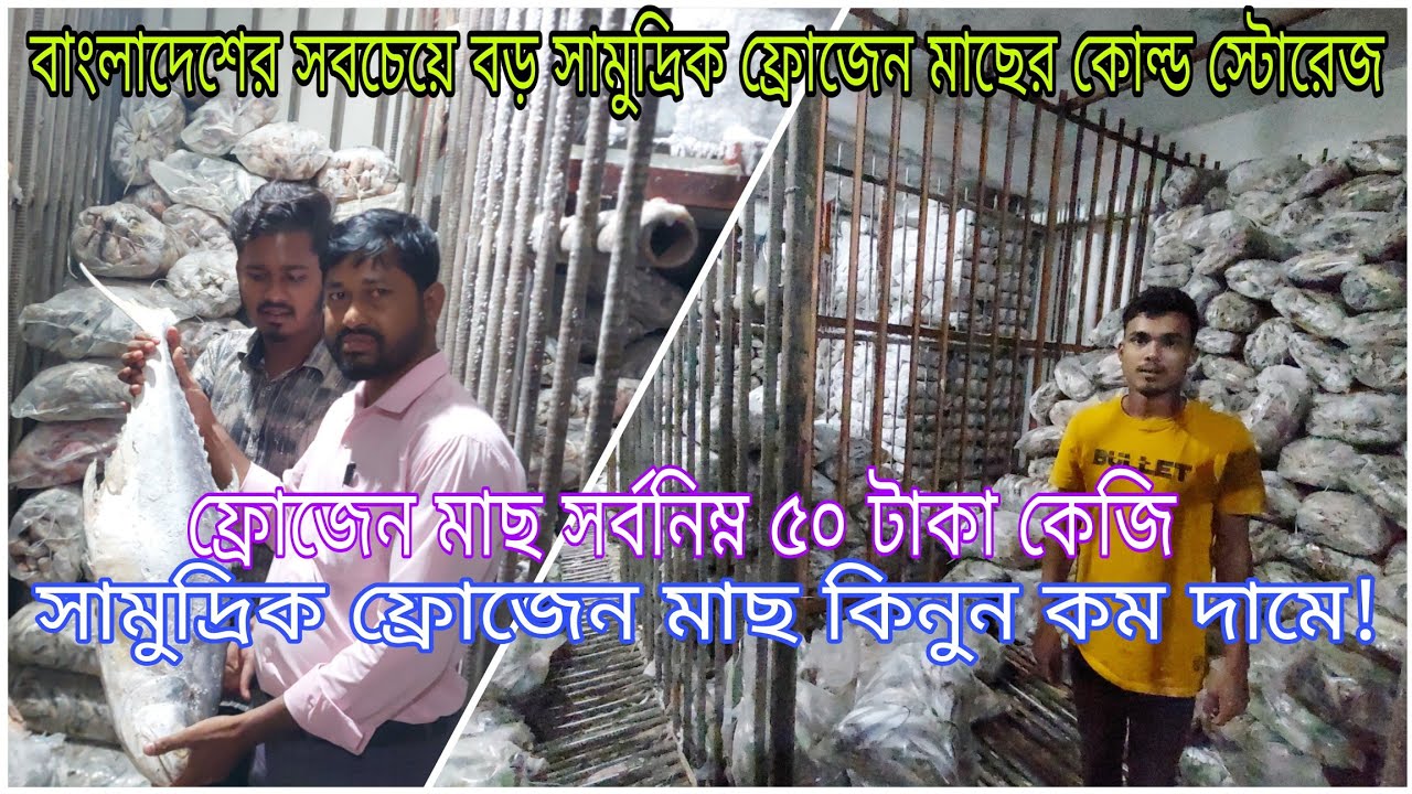 চট্টগ্রামের ফিশারী ঘাটের কোল্ডস্টোরেজ থেকে পাইকারি দামে ১২০ ধরনের ফ্রোজেন মাছ কিনুন।Coldstoragefish