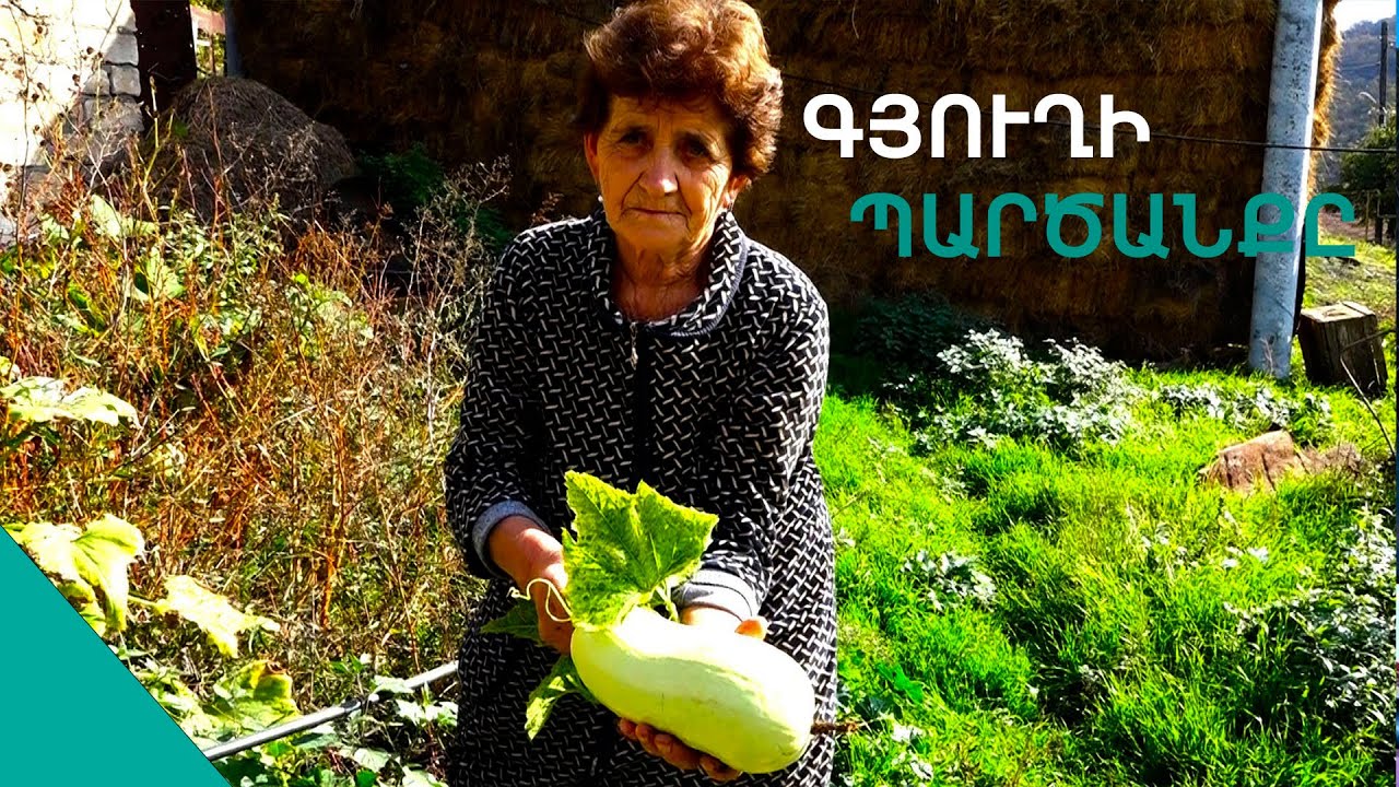 Հերս ասավ վերջ,երկուս էս ստացե՞լ,ուրեմն մարդի տես գնալ Հայկուշ տատ