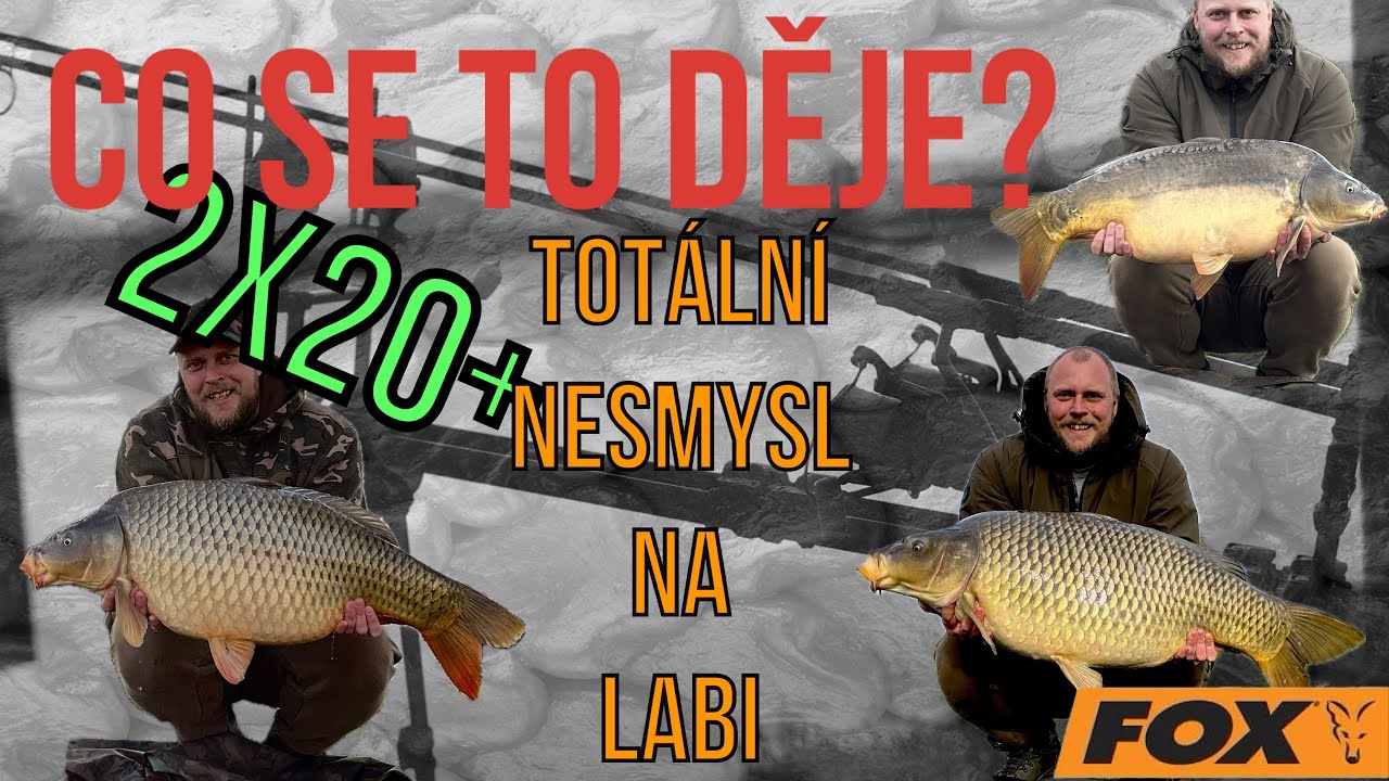 Jak zažívám svůj kaprařský sen na Labi 2x20+