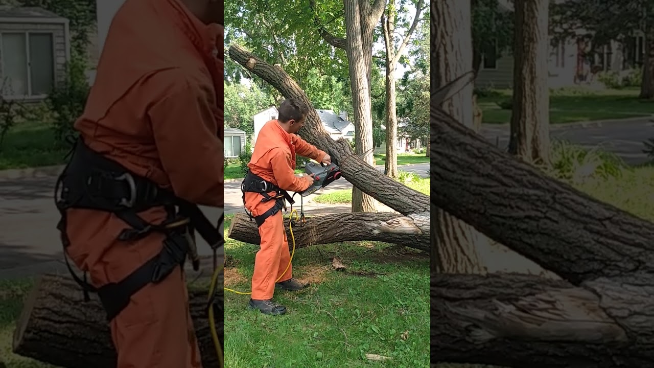 How to use a Chainsaw