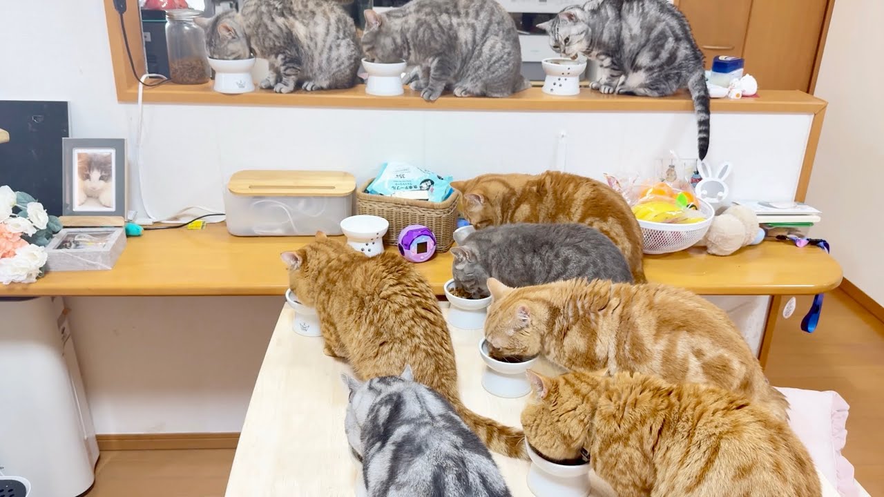 みんな元気です。