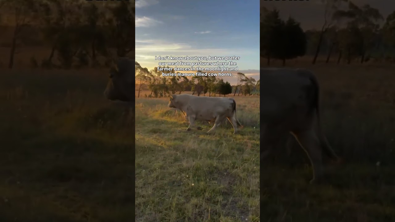 It&rsquo;s not &ldquo;woo woo&rdquo; if it works. It&rsquo;s called biodynamic. #ecologicalbalance #biodynamicfarming #farm
