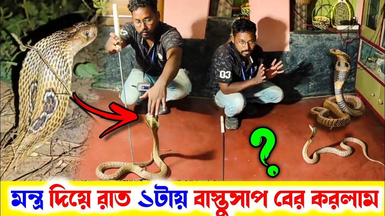 মন্ত্র দিয়ে রাত ১ টায় বাস্তুসাপ বের করলাম😱❓| Samiran Barik Rescuer |