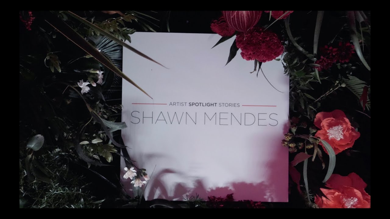 Artist Spotlight Story Premiere with Casey Neistat