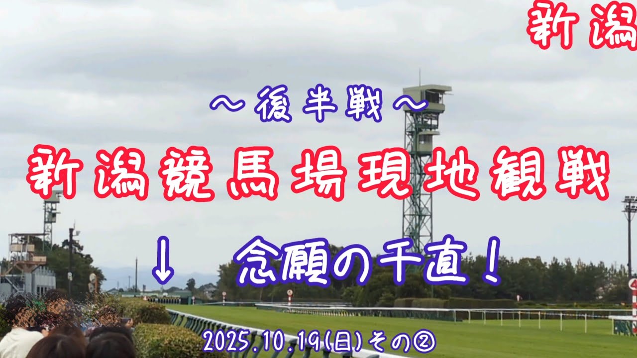 【初めての新潟競馬場～後半～】果たして結果は!?現地観戦レポート(2025.10.19その②)