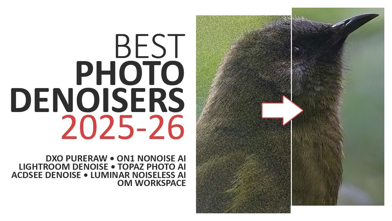 Лучшие программы для подавления шума на фотографиях 2025-2026 гг. - СРАВНЕНИЯ И ПРОМОКОДЫ