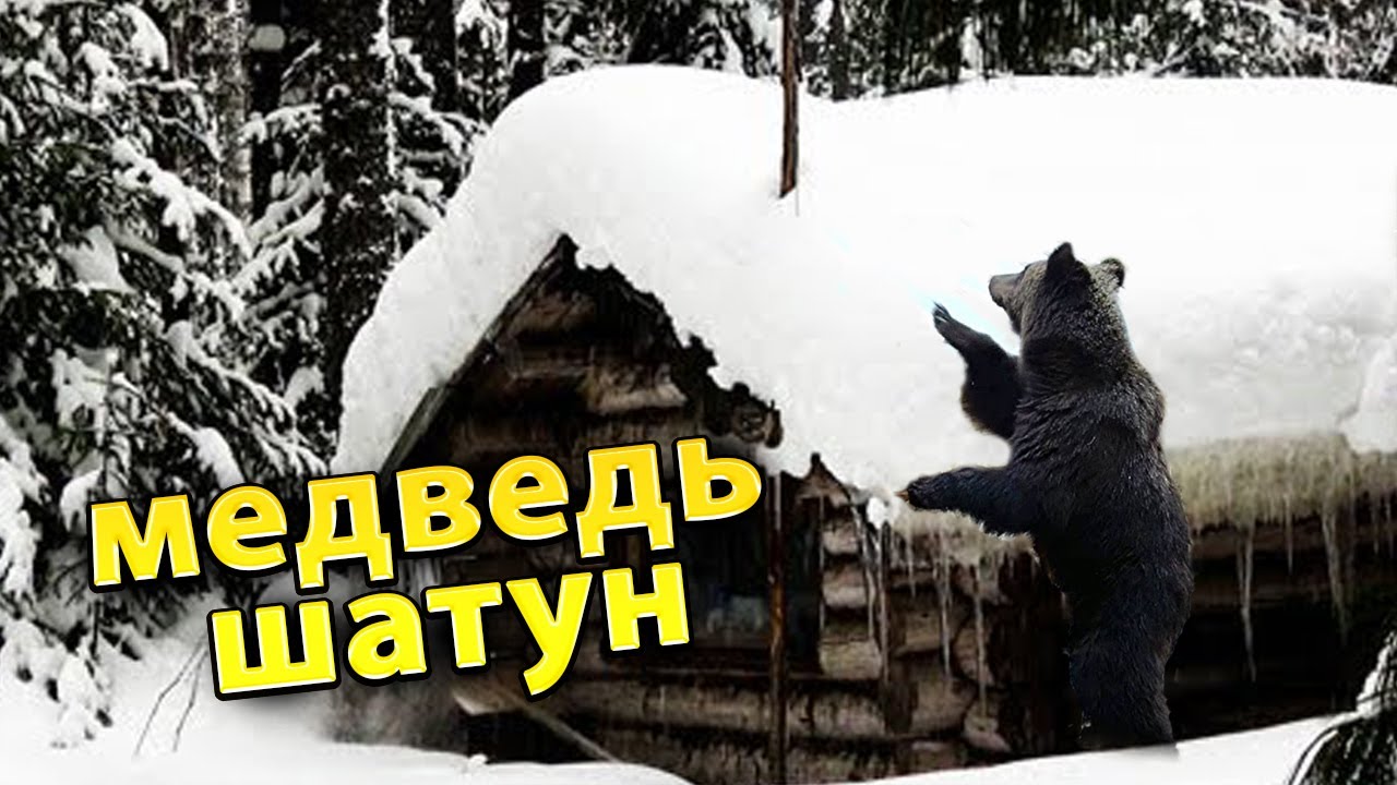 🐻Напал медведь-шатун/ 🐻 Как выживал раненый охотник/ Случай в тайге