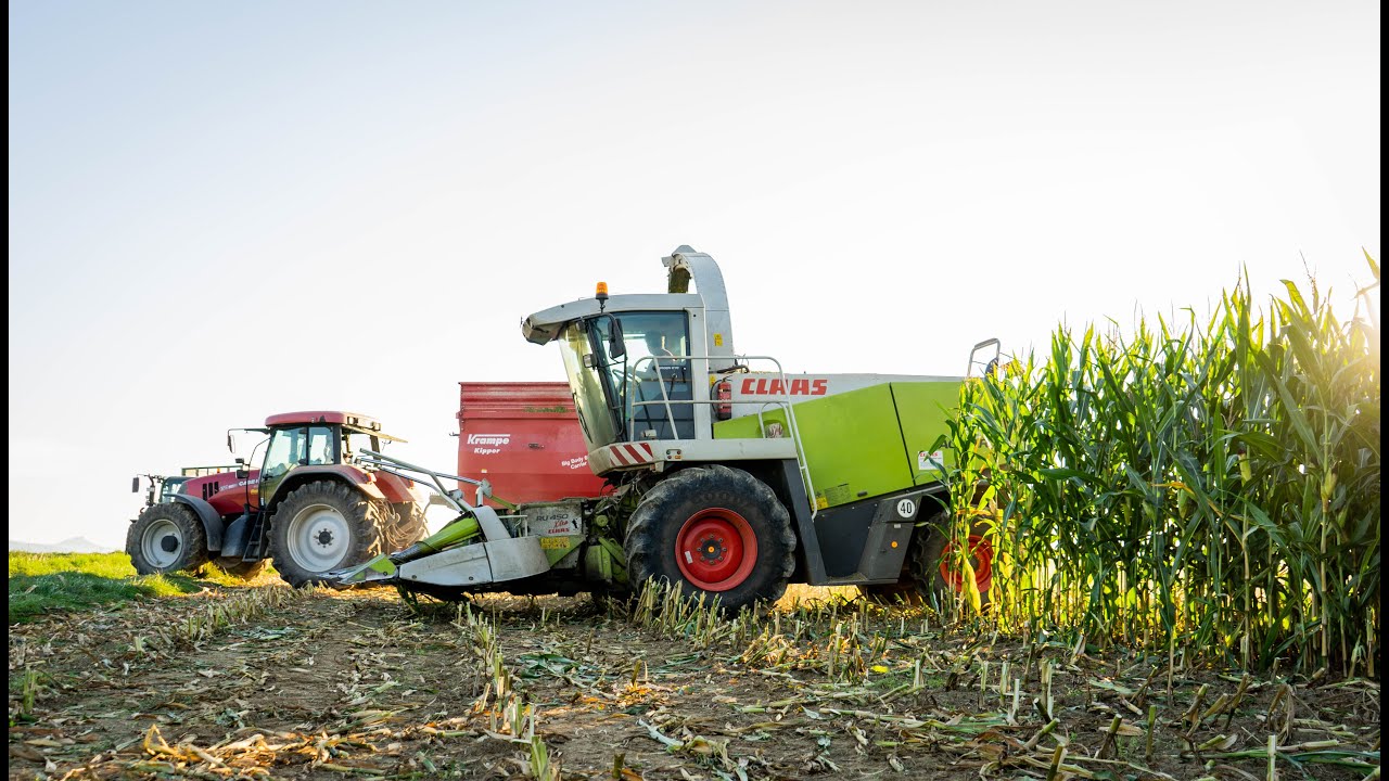 Maishäckseln 2020 | Claas Jaguar 830 - Fendt 722 Vario - Case Puma 130 & 150