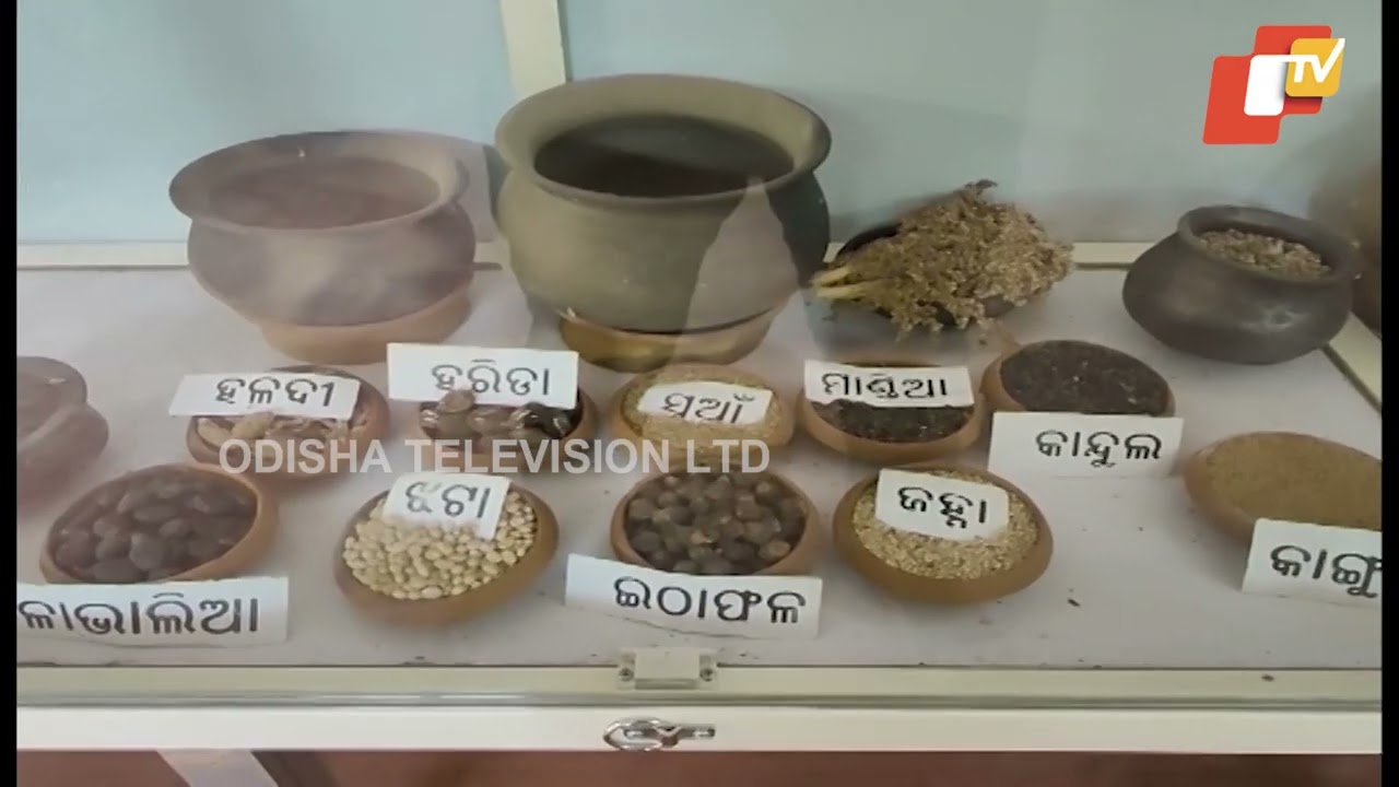 Tribal museum to showcase life and culture of Lanjia Saora community left neglected