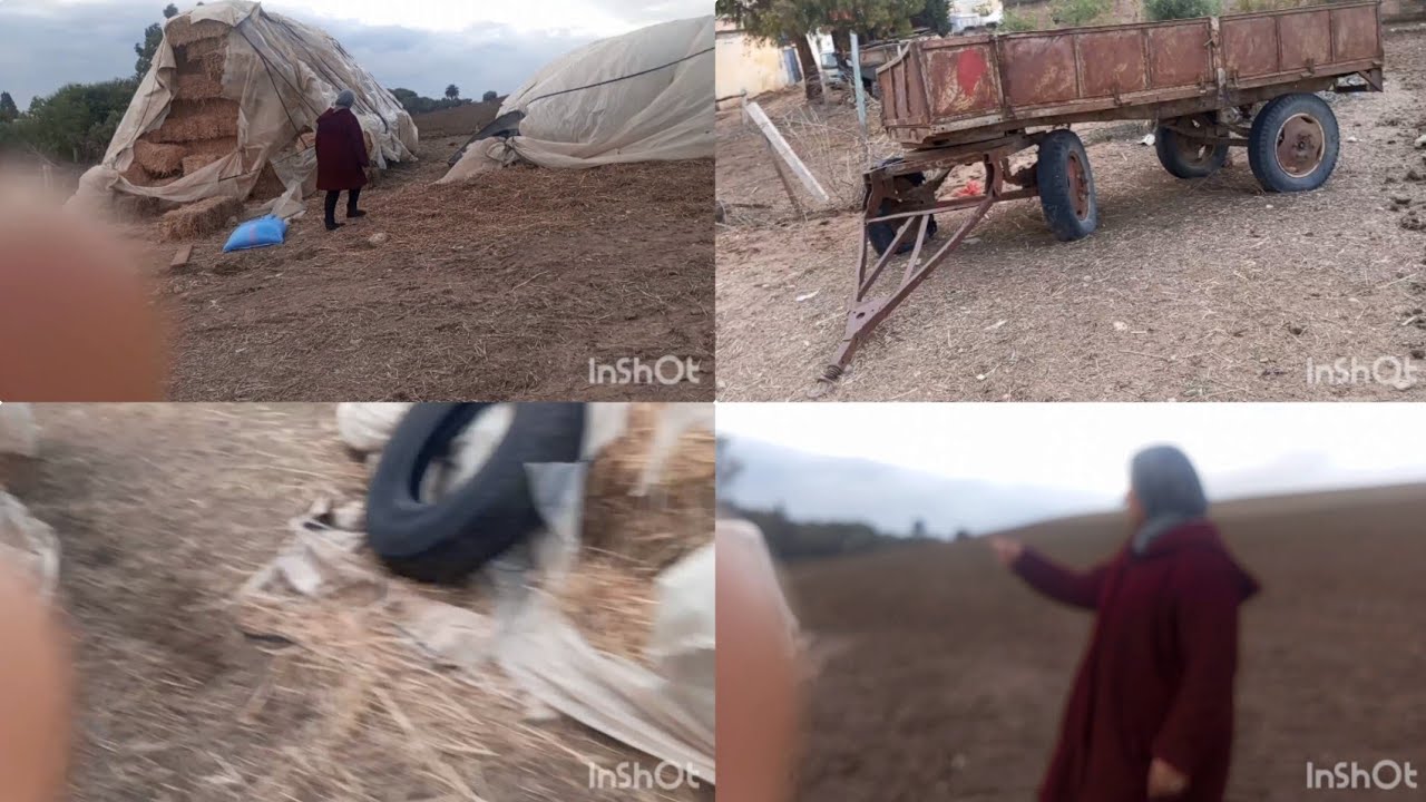 اجواء البادية ياسلام عراضة مكنتش على لبال