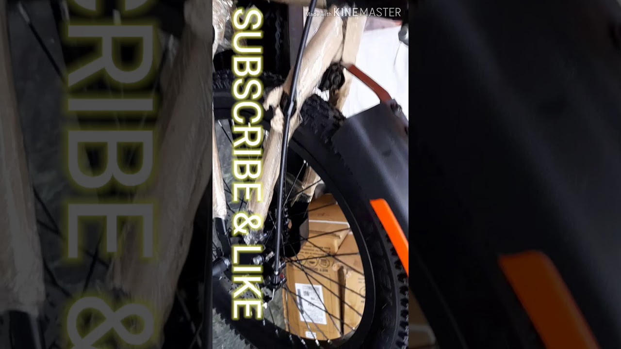 Whistle MTB 8 Years Cycle Dual Disebrack Review