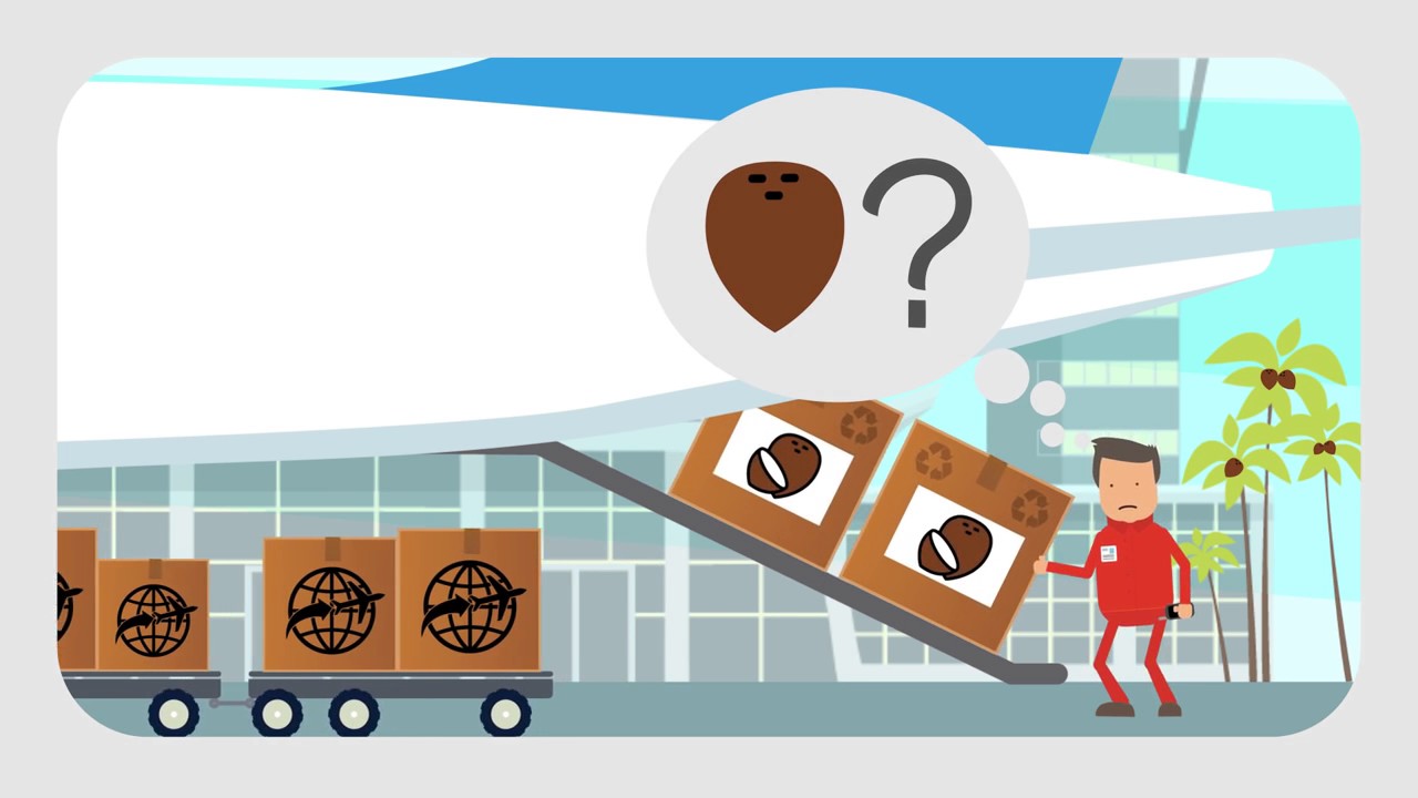 La lucha contra el comercio ilegal de especies silvestres.