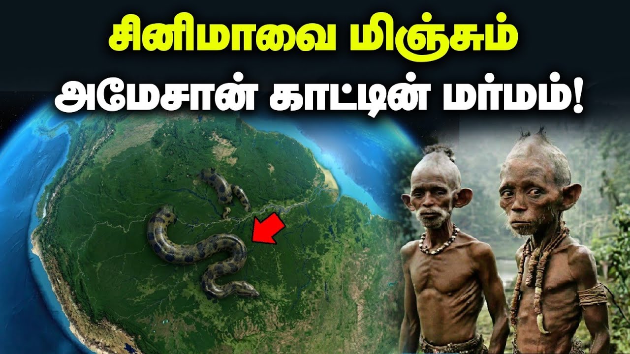 அமேசான் காடுகளின் 10 நடுங்கவைக்கும் ரகசியங்கள்! | The Unsolved Mysteries of Amazon Rainforest