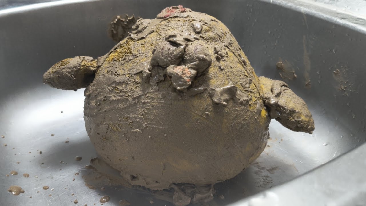 ASMR Cleaning a Super Dirty Yellow Chick