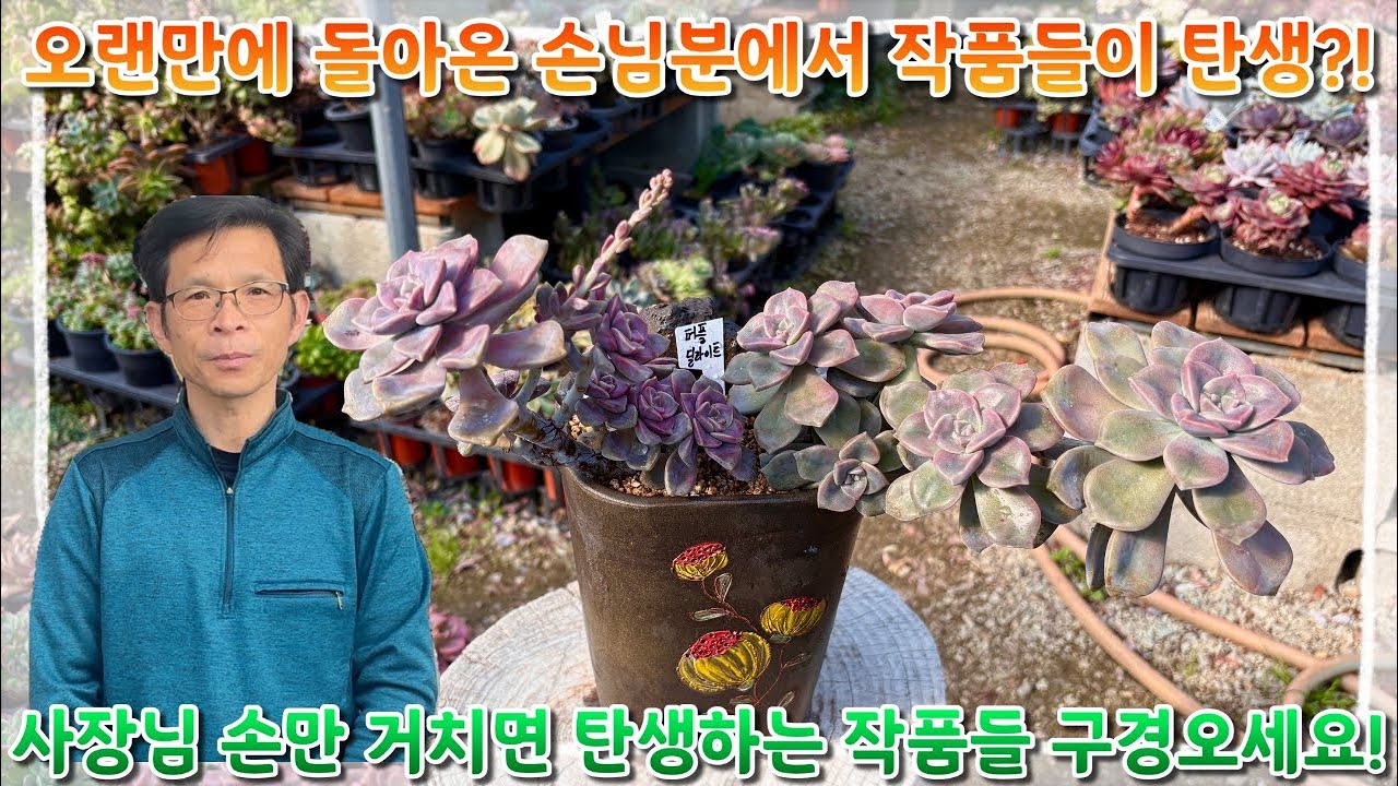 오랜만에 돌아온 손님분에서 작품들이 탄생 ?! 사장님 손만 거치면 탄생하는 작품들 !!! 지금 빨리 구경오세요 !